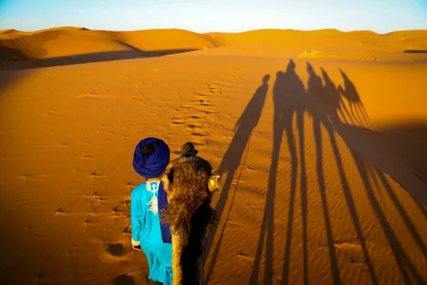 Sahara Desierto Árido Más Grande Del Mundo Estrellas Marruecos Con —  Fotos de Stock