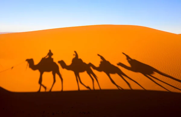 Sahara Grootste Dorre Woestijn Ter Wereld Sterren Marokko Met Een — Stockfoto