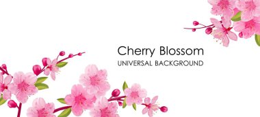 Sakura çiçekli Şubesi