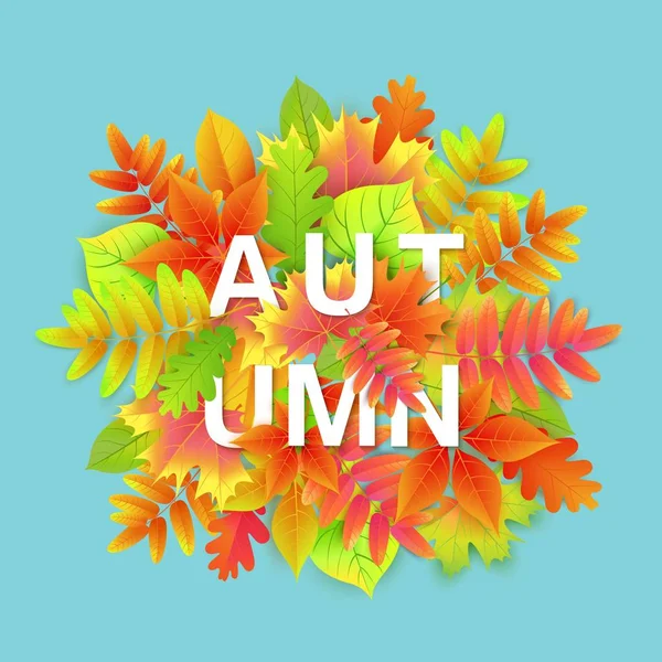 Sonbahar arka plan, yaprakları ile banner tasarımı.