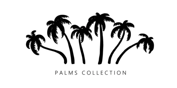 Set of palm trees. Design elements, objects for card, wallpaper, logo. — Stock Vector