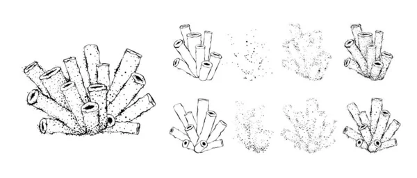 Fabricant Coraux Dessinés Main Conception Contour Avec Points — Image vectorielle