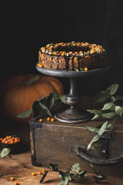 pumpkin cheesecake with sea buckthorn in chocolate glaze