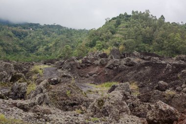 Görünümü bir vadinin koyu zemin ve bazı binalarda uzakta tepe orman Bali, Endonezya