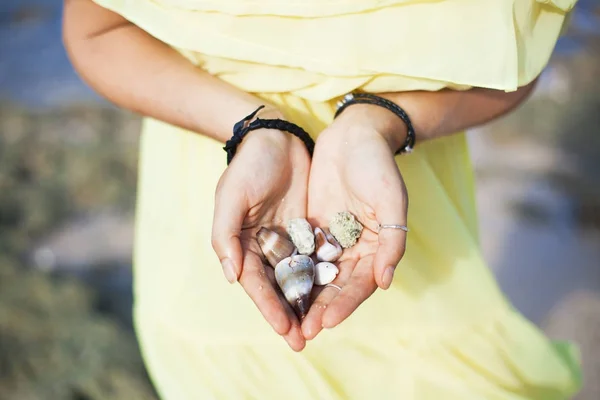 Manos de mujer sosteniendo piedras y conchas . — Foto de Stock
