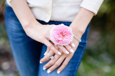 Hafif manikürlü ince zarif kadın elleri, yüzükler, bir bilezik ve parmaklarının arasında pembe bir gül çiçeği.