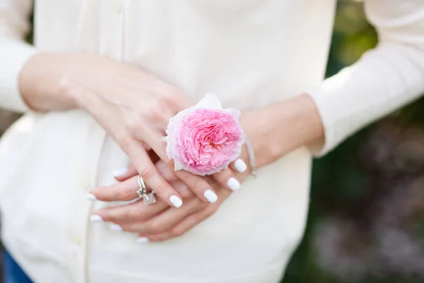 Dunne sierlijke vrouwelijke handen met lichte manicure, ringen, een armband en een roze rozenbloem tussen de vingers. witte jas is achtergrond — Stockfoto
