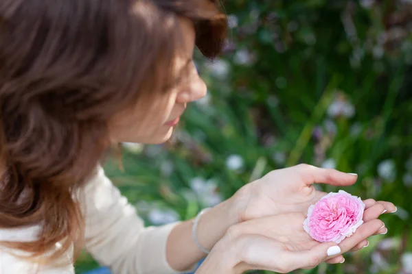 Retrato de perfil de una hermosa joven morena sosteniendo una rosa rosa en la mano y mirándola. Una chica de pelo largo y blusa blanca — Foto de Stock