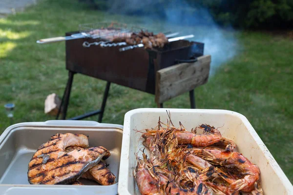 Langoustines Grelhados Bifes Salmão Vasos Churrasco Com Fumaça Gramado Verde — Fotografia de Stock