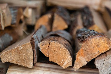 Odunluğa istiflenmiş çam ağacını kapat..