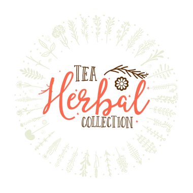 Bitkisel çay toplama rozet tasarım. Etiket, damga, - el yapımı. Tipografi elemanları, hat ve yazı kullanımı ile