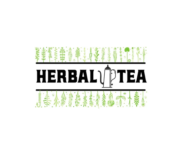 Té de hierbas. Insignia de letras estilizadas vintage. Ilustración vectorial — Archivo Imágenes Vectoriales