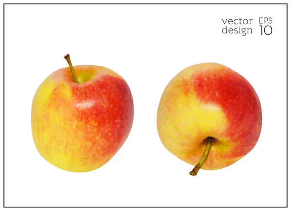 Apfel-Obst-realistisch-rot-gelb-Diät — Stockvektor