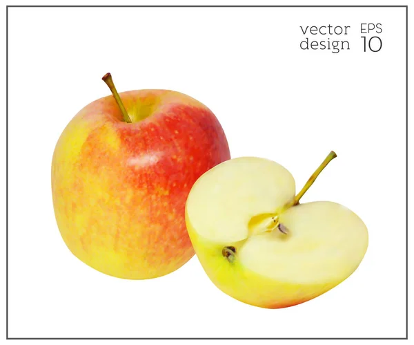 Apple-Fruit-realistic-Red-Yellow-Diet — Διανυσματικό Αρχείο