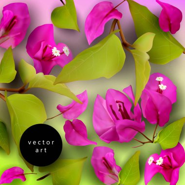 Yaz-kavram-tropikal-çiçek-02