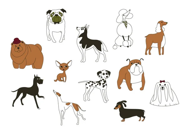 Breeds, dogs, vector — Stock Vector