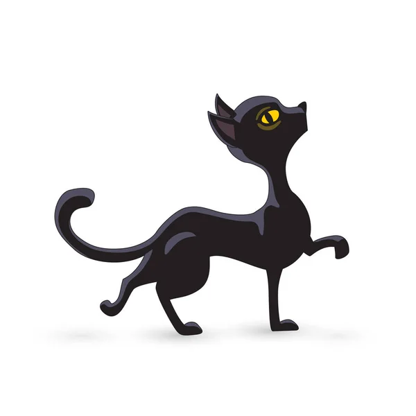 Halloween Cat Black na białym tle — Wektor stockowy