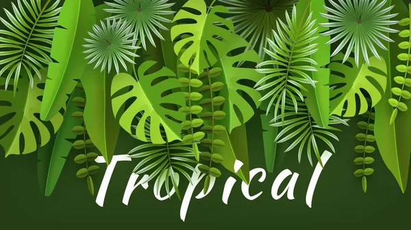 Тропічні листя і рослини. Зелений абстрактний фон з тропічним листям. Вирізати папір. Векторні ілюстрації — стоковий вектор