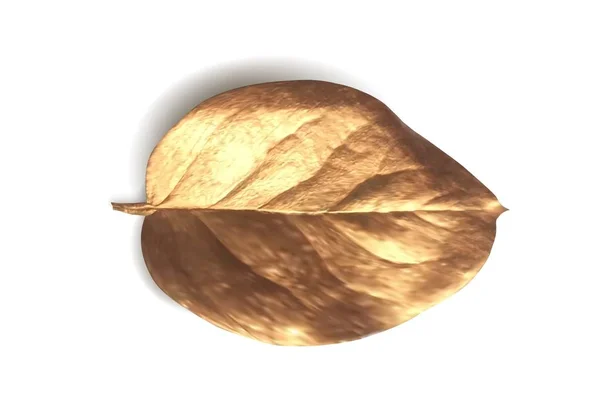 木の金の現実的な葉 白い背景に金色の孤立したベクトルオブジェクト — ストックベクタ