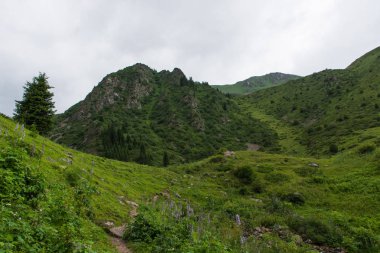 Harika dağ ladscape