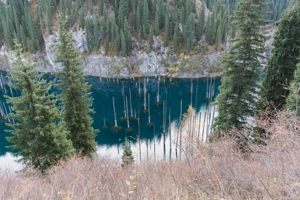 Lake kaindy tien shan dağlarında, Kazakistan