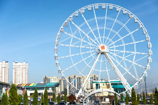 Observation wheel in the center