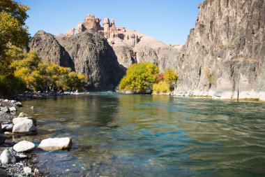 Sonbahar ağacında ile güzel nehir