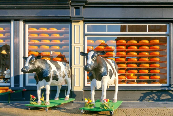 Delft. Shop cheese. — Stock Photo, Image