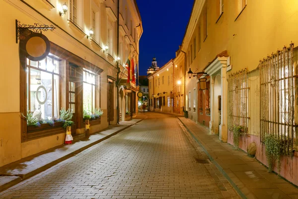 Vilnius. Night Street. — Stockfoto