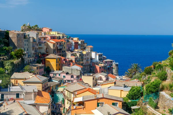 Manarola. Селище на скелі. — стокове фото