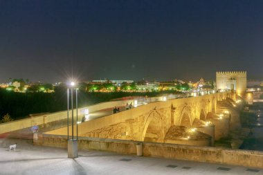 Cordoba. Roma köprüsü.