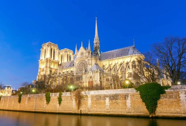 Paris. Notre Dame. . — Fotografia de Stock