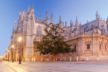 Sevilla. Sabahın erken saatlerinde Katedrali.