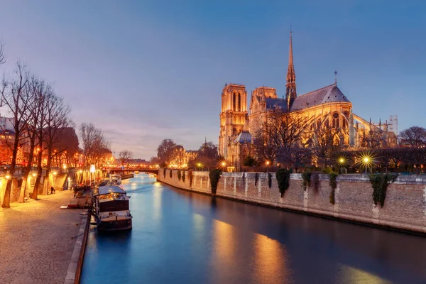 Paris. Notre Dame. — Stok fotoğraf