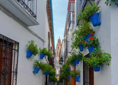 Geleneksel İspanyol veranda Cordoba.
