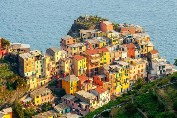 Manarola. Aldeia na rocha . — Fotografia de Stock