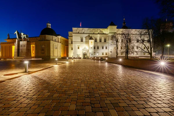 빌뉴스입니다. 중앙 광장에 St. Stanislaus의 대성당. — 스톡 사진