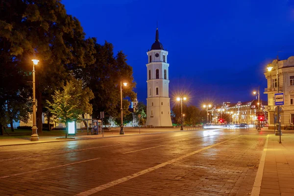 Вільнюс. Кафедральний собор Святого Станіслава в центральній площі. — стокове фото