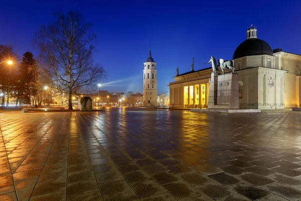 Vilnius. St Stanislaus Katedrali. — Stok fotoğraf