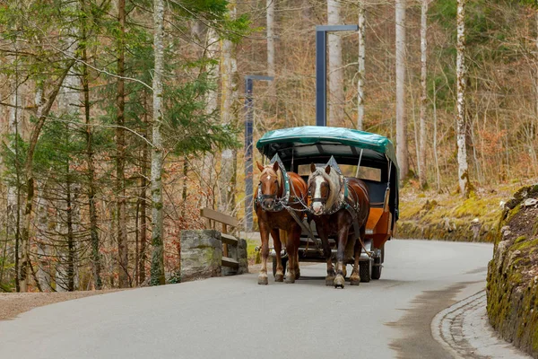Bayern. En twin-häst-vagn. — Stockfoto