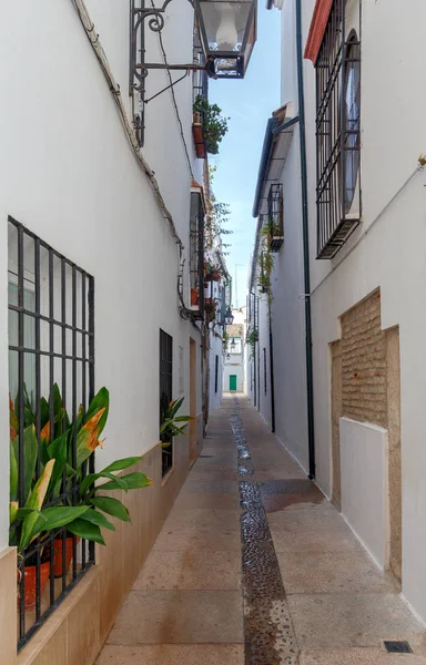 Córdoba. La antigua calle estrecha de la ciudad . — Foto de Stock