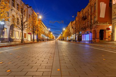 Vilnius. Gece sokak.