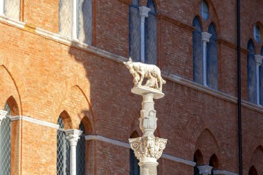 Siena. She-wolf Romulus ve Remus.