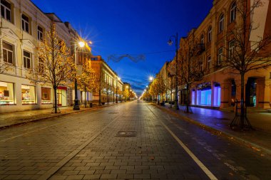 Vilnius. Gece sokak.