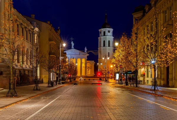 Vilnius. Éjszakai utcai. — Stock Fotó