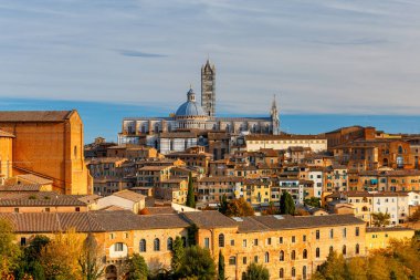 Siena. Güneşli bir günde Katedrali.