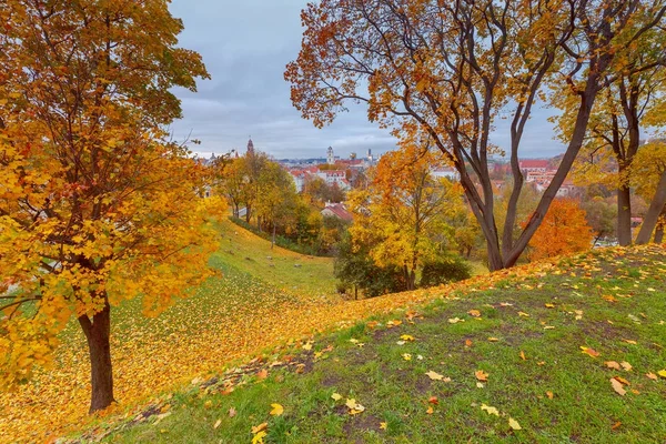 Vilnius. Vista aérea de la ciudad . —  Fotos de Stock