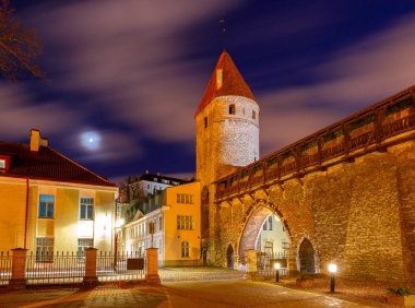 Tallinn. Eski ortaçağ Caddesi.