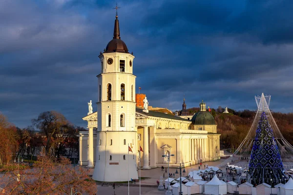 Vilnius. A catedral e a torre da Gediminas. — Fotografia de Stock