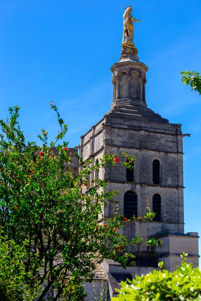 Avignon. La Provence. Le célèbre palais pontifical par une journée ensoleillée. — Photo